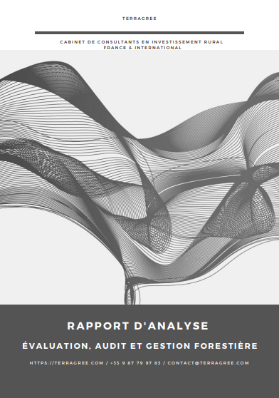 rapport d'analyse