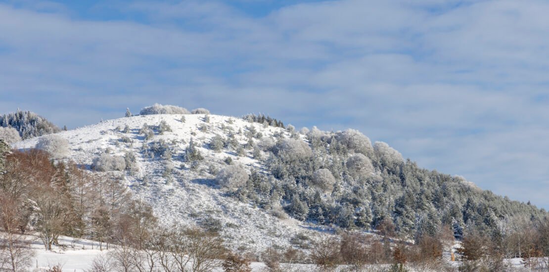 Évaluation forestière