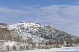 Évaluation forestière